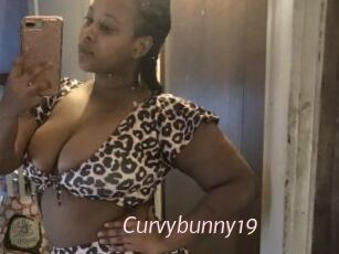 Curvybunny19