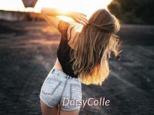 DaisyColle
