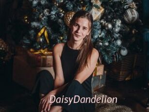 DaisyDandelion