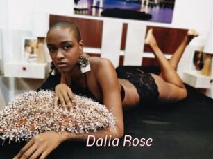 Dalia_Rose