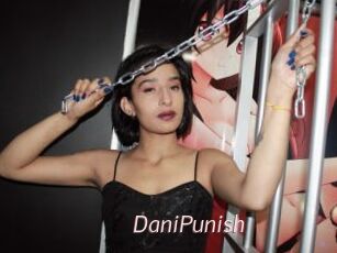 DaniPunish