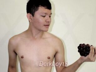 Darkboy18
