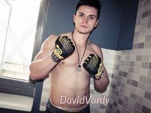 DavidVardy