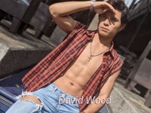 David_Wood