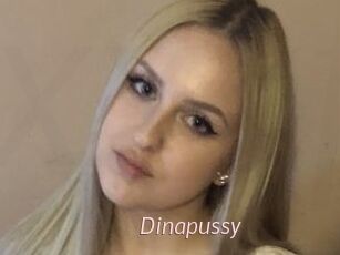 Dinapussy