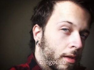 DingoCub
