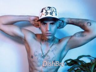 DishBro