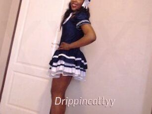Drippincattyy