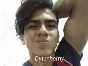 Dylanhorny