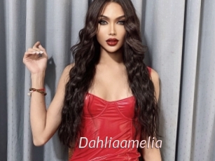 Dahliaamelia
