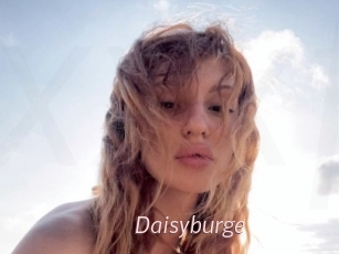 Daisyburge