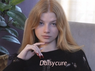 Daisycure