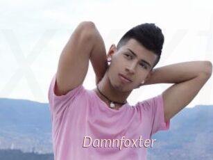 Damnfoxter