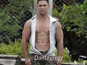 Dantegreyy