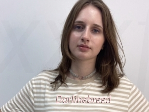 Darlinebreed