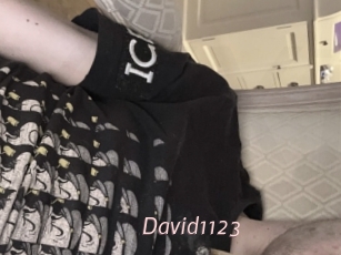 David1123
