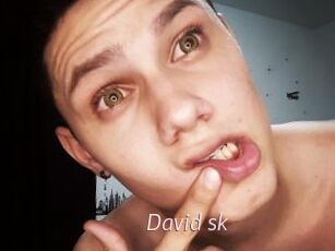 David_sk