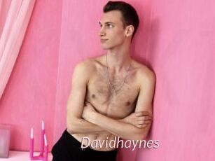 Davidhaynes