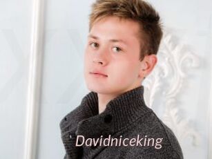 Davidniceking