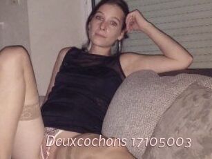 Deuxcochons
