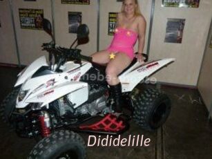 Dididelille