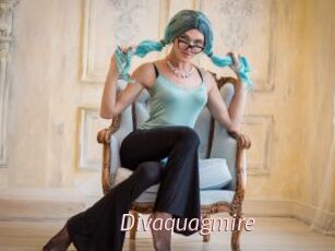 Divaquagmire