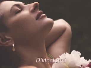 Divinakarni