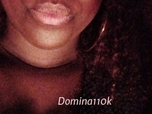 Domina110k