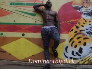 Dominantbigdick