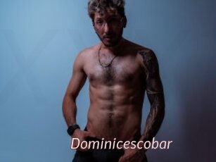 Dominicescobar