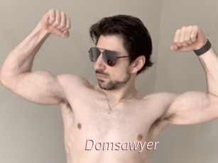 Domsawyer