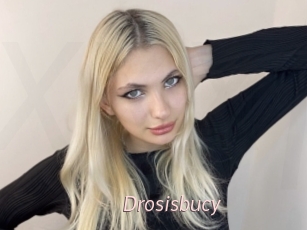 Drosisbucy