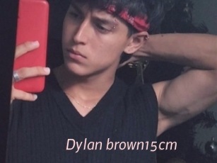 Dylan_brown15cm