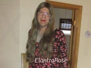 Elantra_Rose