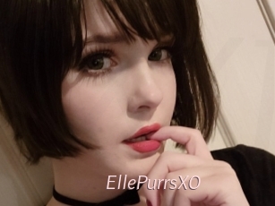 EllePurrsXO