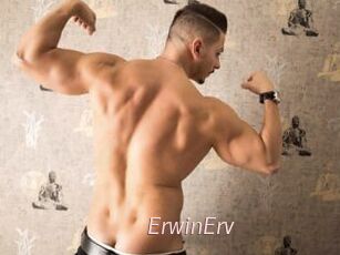 ErwinErv
