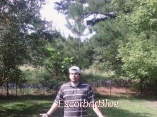 Escorbar_Blue
