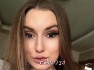 Evka1234