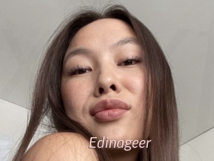 Edinageer