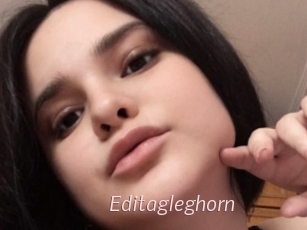 Editagleghorn