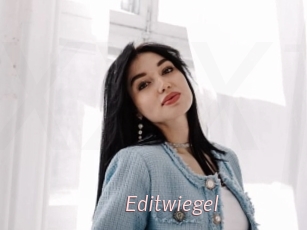 Editwiegel