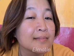 Elenatin