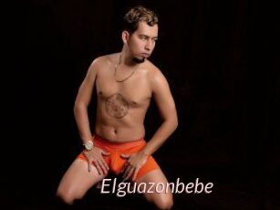 Elguazonbebe