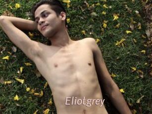 Eliotgrey