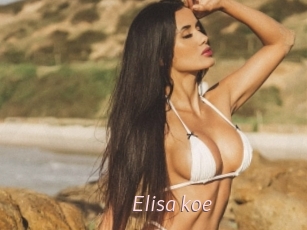 Elisa_koe