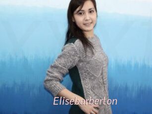 Elisebarberton