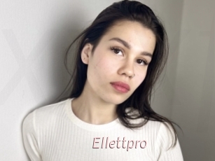Ellettpro