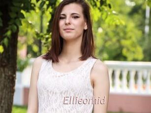 Ellieorhid