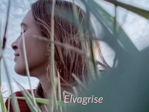 Elvagrise