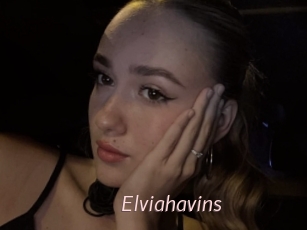 Elviahavins